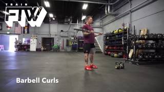 Barbell Curls