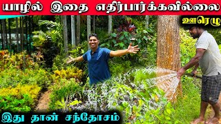 🇬🇧 லண்டனில் இருந்து வந்து சந்தோசத்துக்காக செய்யுறேன் | Jaffna Plant Nursery | Urelu | Sri Lanka