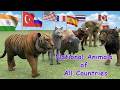 50 Countries National Animals |comparison video |comparison data| Almas Data