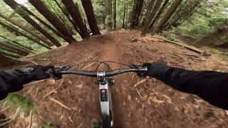 UCSC MTB | Rip down RadDad | Crestline S180 | 1.25.25