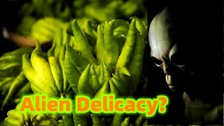 Discover Sri Lanka's Unique Fruit: An Alien Delicacy?