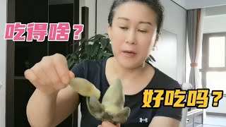 今天入伏吃饺子还是吃面？听听老李怎么说，解释的很到位！真有料