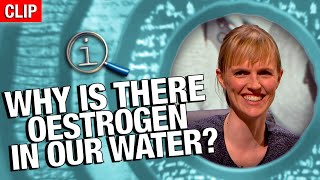 QI | Why Is There Oestrogen In Our Water?