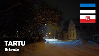 Tartu, Estonia. Walking in the snowfall. Tähtvere. 4K