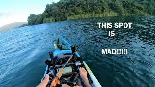 This lake has it all Lake Tarawera New Zealand