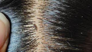 heavy net packing by long hair//@real sound// in Telugu mamatha vlogs