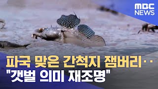 파국 맞은 간척지 잼버리‥\