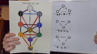 Introduction to The Tree of Life