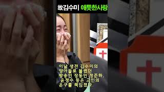 '내리사랑' 그대로..故김수미, 며느리 서효림에 집 증여 \