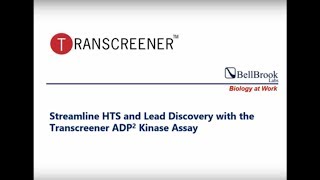 Streamline HTS and Lead Discovery with the Transcreener ADP Kinase Assay