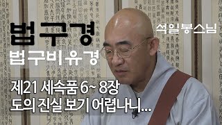 법구경 제89회 - 세속품 6~ 8장... 세상 사람들은 도(道)의 진실 보기 어렵나니...