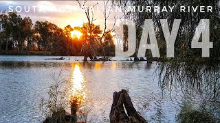 Day 4 of 30~ Aussie solo canoe camping ~ section-paddling the Murray River