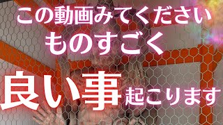 ※必ずみてください　かなり強い動画です　良い事が起きます　愛運　開運　願いが叶う　金運　強運　強運体質　恋愛成就