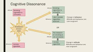 The bidirectional relationship between attitudes and behaviour