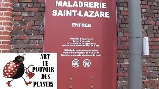 Jardinage: Sortie à la Maladrerie Saint-lazare à Beauvais