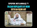 Хамис аз захрани//Пророк Мухаммад ﷺ сказал передайте от меня хотя бы один аят ✅