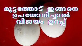 മുട്ടത്തോട് വെറുതെ കളയാതെ  ഇങ്ങനെ ഉപയോഗിച്ചു നോക്കൂ  വിജയം ഉറപ്പ്