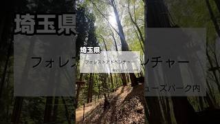 【まるでターザン】木の上を駆け抜けるアスレチックが最高すぎた