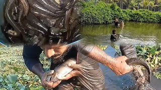 കാപ്പിലെക്കളിയും കനാലിലെ വലയിറക്കലും..... #malayalam fishing youtube channel