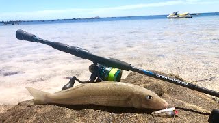 TOPWATER WHITING - Flats fishing for Australia’s shallow water predator