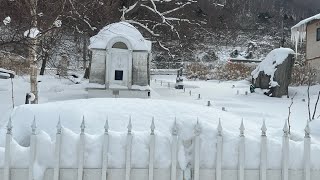 LIVE マッドフラッド探訪【函館編】 外国人墓地