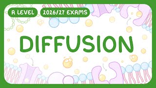 A-Level Biology - Diffusion - Simple & Facilitated | Factors Affecting Diffusion (2026/27 exams)
