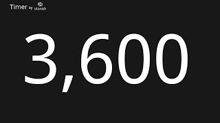 3600 Second Countup Timer
