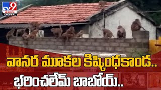 Khammam  Monkeys :   ఖమ్మం జిల్లాలో వానరాల బీభత్సం - TV9