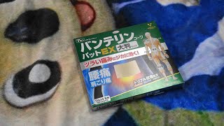 ドラゴンズファンが「バンテリンコーワパットEX」を貼る動画