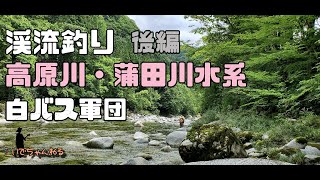 【渓流釣り】白バス軍団が行く高原川・蒲田川水系フライフィッシングflyfishing/vwcamp/fishingcamp