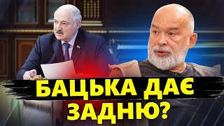 ШЕЙТЕЛЬМАН: Натівська ЖАХАЛКА для Лукашенка: "ЗРАДИВ" Путіна. Кожен РОСІЯНИН мріє стати МОЛДАВАНИНОМ