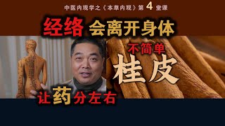 医学奇观1经络什么时间会离开身体？2药分左右 本草内观试验课 经络穴位任督二脉