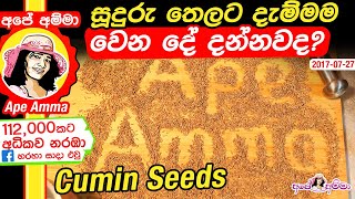 ✔ සූදුරු තෙලට දැම්මම වෙන දේ දන්නවද? ✔ How to use spices part 3: Cumin seeds (Suduru)