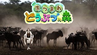 【あつまれどうぶつの森】返り血をぬぐい、森に帰ってきた男【にじさんじ/加賀美ハヤト】