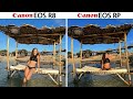 Canon EOS R8 vs Canon EOS RP Camera Test