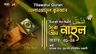 অন্তর শীতল করা তেলাওয়াত | Surah Nahl | সূরা নাহল আয়াত ৩১-৩৪ | তেলাওয়াতুল কুরআন | ATR QURAN TELAWAT