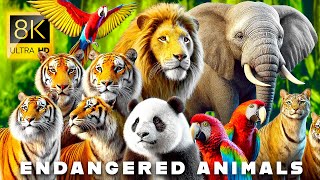 8K ANIMAL VIDEO: The Future of Nature Documentaries 8K ULTRA HD #8K #ANIMAL