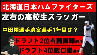 日本ハムファイターズドラフト2位有薗直輝選手4位阪口樂選手1年目ファーム目指す成績は？中田選手清宮選手1年目は？？