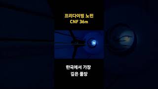 오리발 없이 한국에서 가장 깊은 풀장 갔다오기