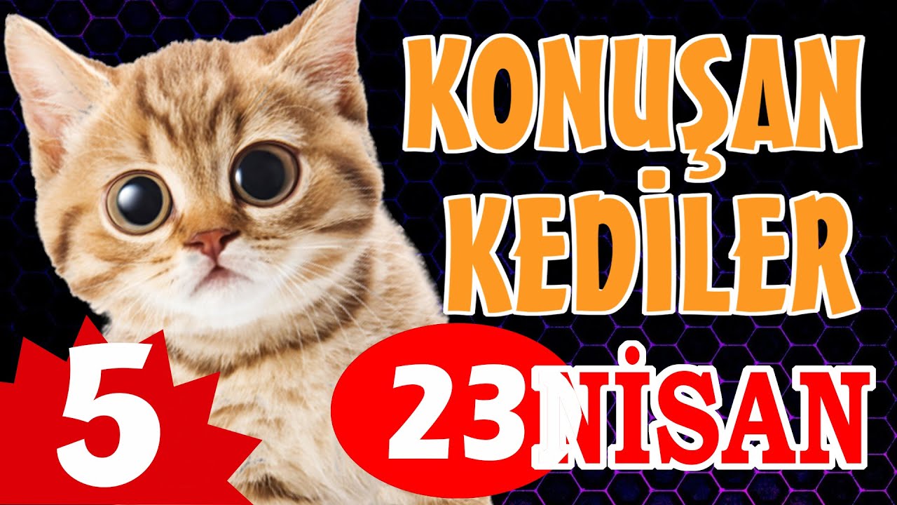 Konuşan Kediler 5 - 23 Nisan Özel - Komik Kedi Videoları - YouTube