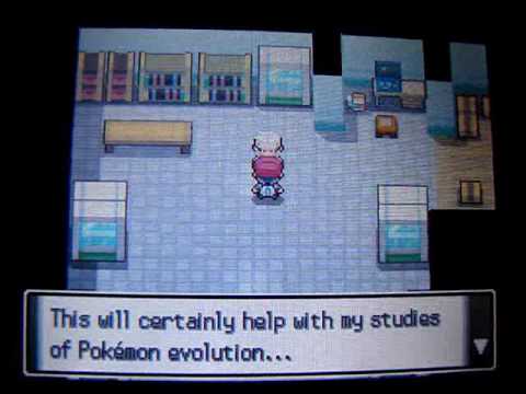 How To Get the National Dex & PokeRadar How To Get the National Dex & PokeRadar