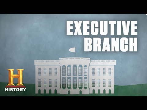 How is the executive branch set up?