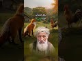 دعوة نسائم الايمان