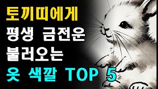 토끼띠에게 평생 금전운 불러오는 옷 색깔 TOP5