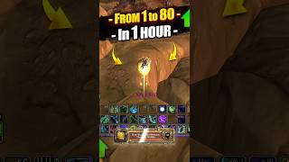 1 80 In 1 Hour Leveling Exploit Guide Wow Tww