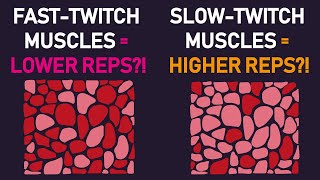 Should You Train Muscles According to Their Fiber Type? (New Study)