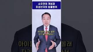 변호사 김주형 - 소유권의 개념과 미성년자의 법률행위 법정대리인