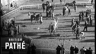 Baldoyle Races (1933)