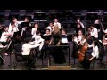 amadeus from symphony no. 25 mozart hoffman