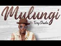Toxy Duda - Mulungi (Official visualizer)